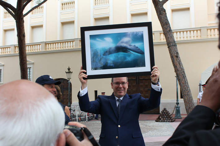 BlueMarineGift
